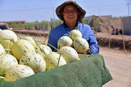 群众吃瓜罐头视频,群众热传吃瓜罐头视频，揭秘夏日消暑新潮流