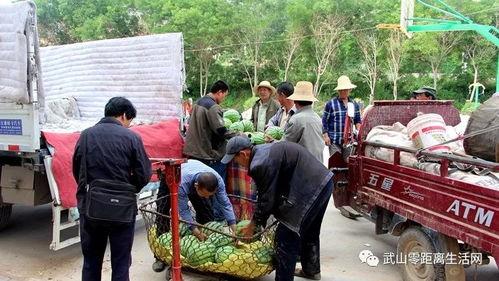 丰台村吃瓜群众,吃瓜群众的欢乐盛宴