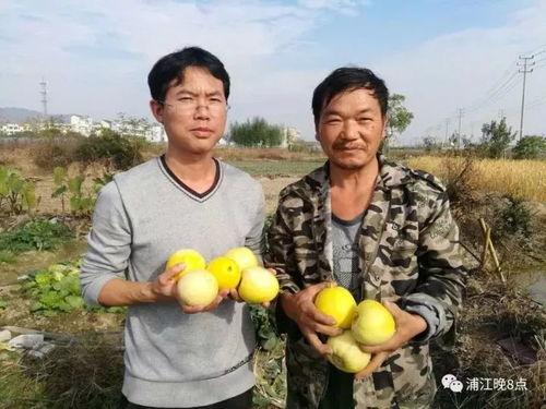 吃瓜群众淮阳,吃瓜群众眼中的风云变幻