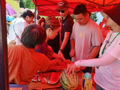 武平吃瓜群众事件视频播放,网络视频引发的热议与反思