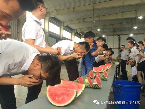 幼儿园吃瓜群众教研活动,趣味互动中的教育智慧探索