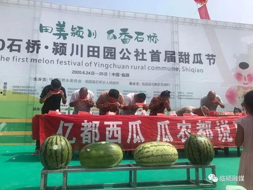 吃瓜群众大会,揭秘网络热议背后的真相与趣味