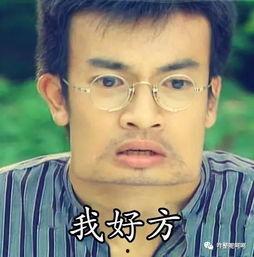 吃瓜群众小猪表情包图片,笑翻网友的欢乐源泉