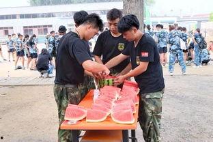 任县吃瓜群众事件视频播放,网络视频引发的热议与反思